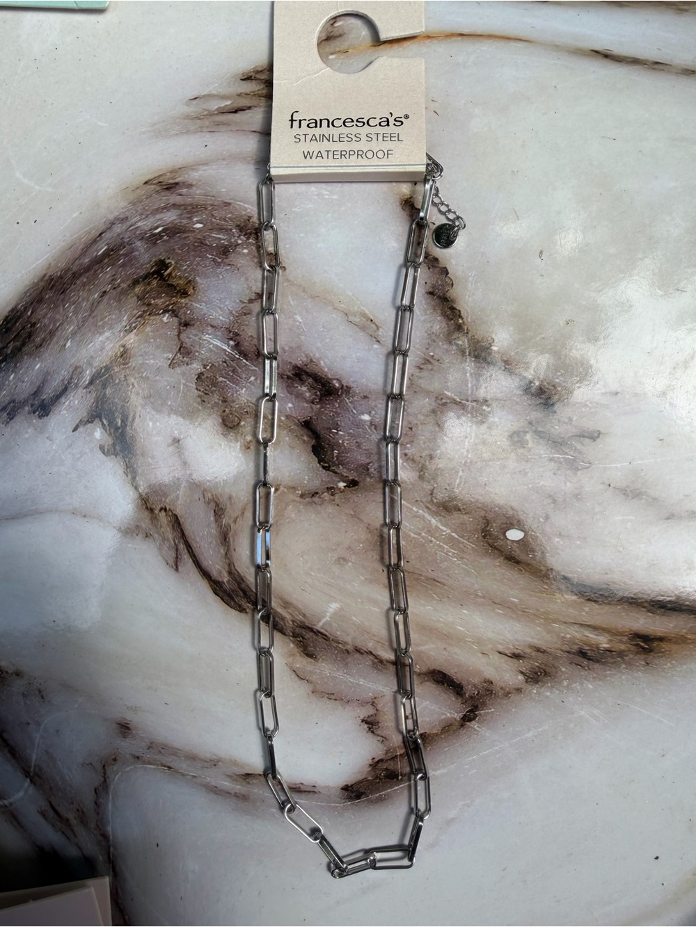 Francesca's Collections Stainless Steel Silver Charm Link Necklace